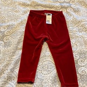 Janie and Jack velvet red leggings 12-18 mths